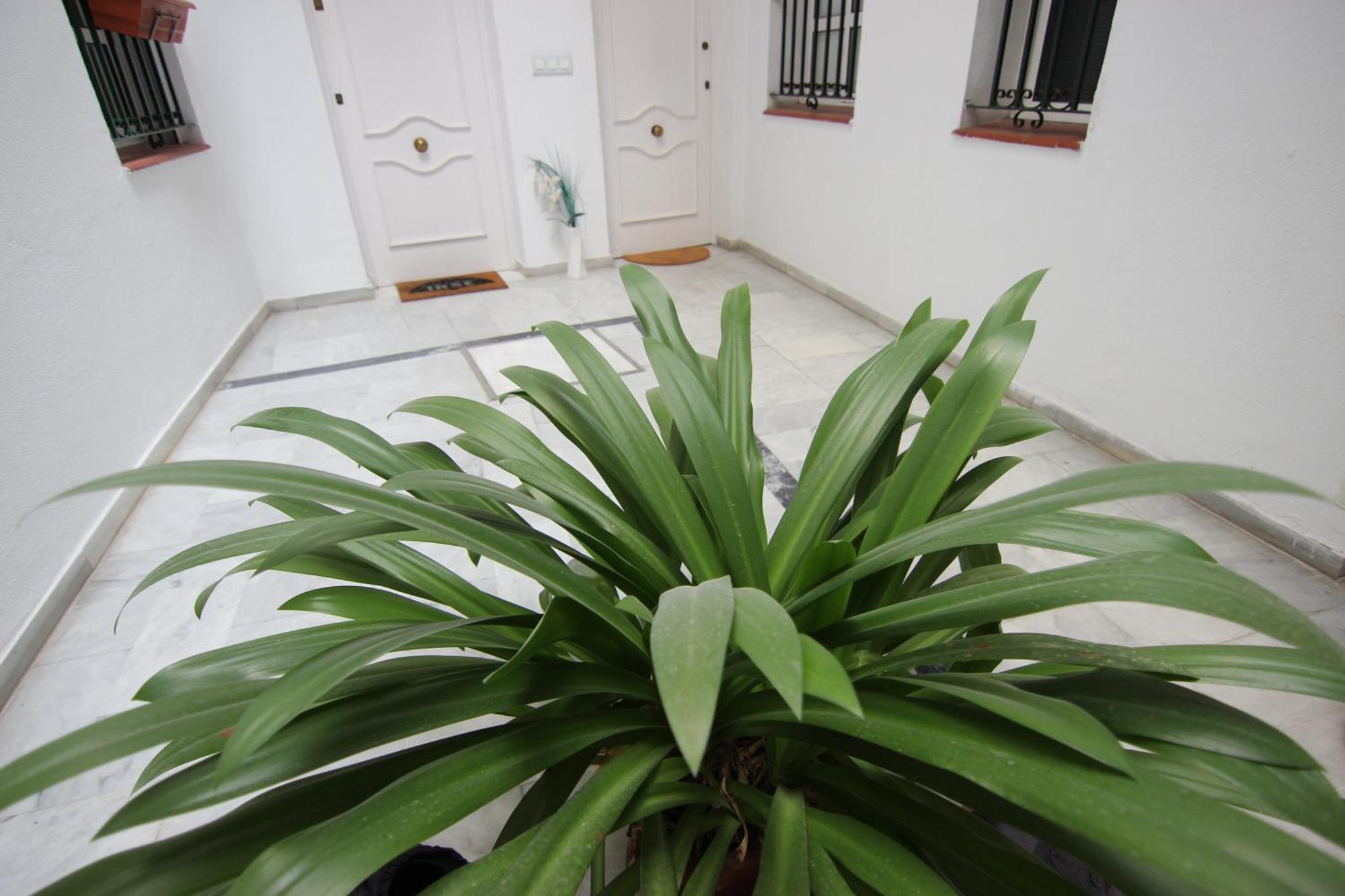 Apartamento Corazon De Triana Sewilla Zewnętrze zdjęcie